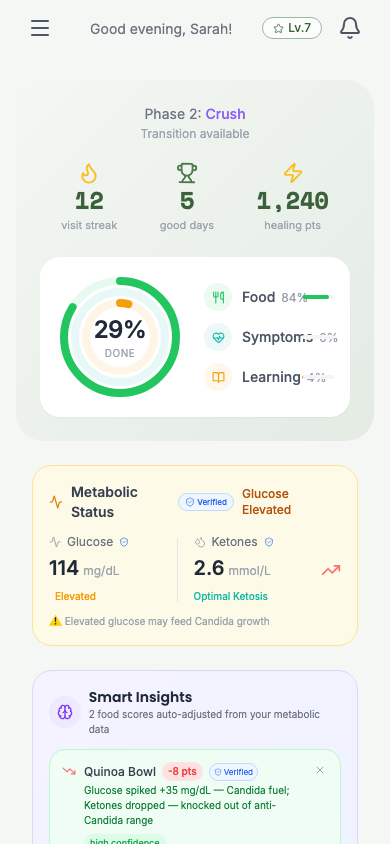 CandidaCrush app dashboard